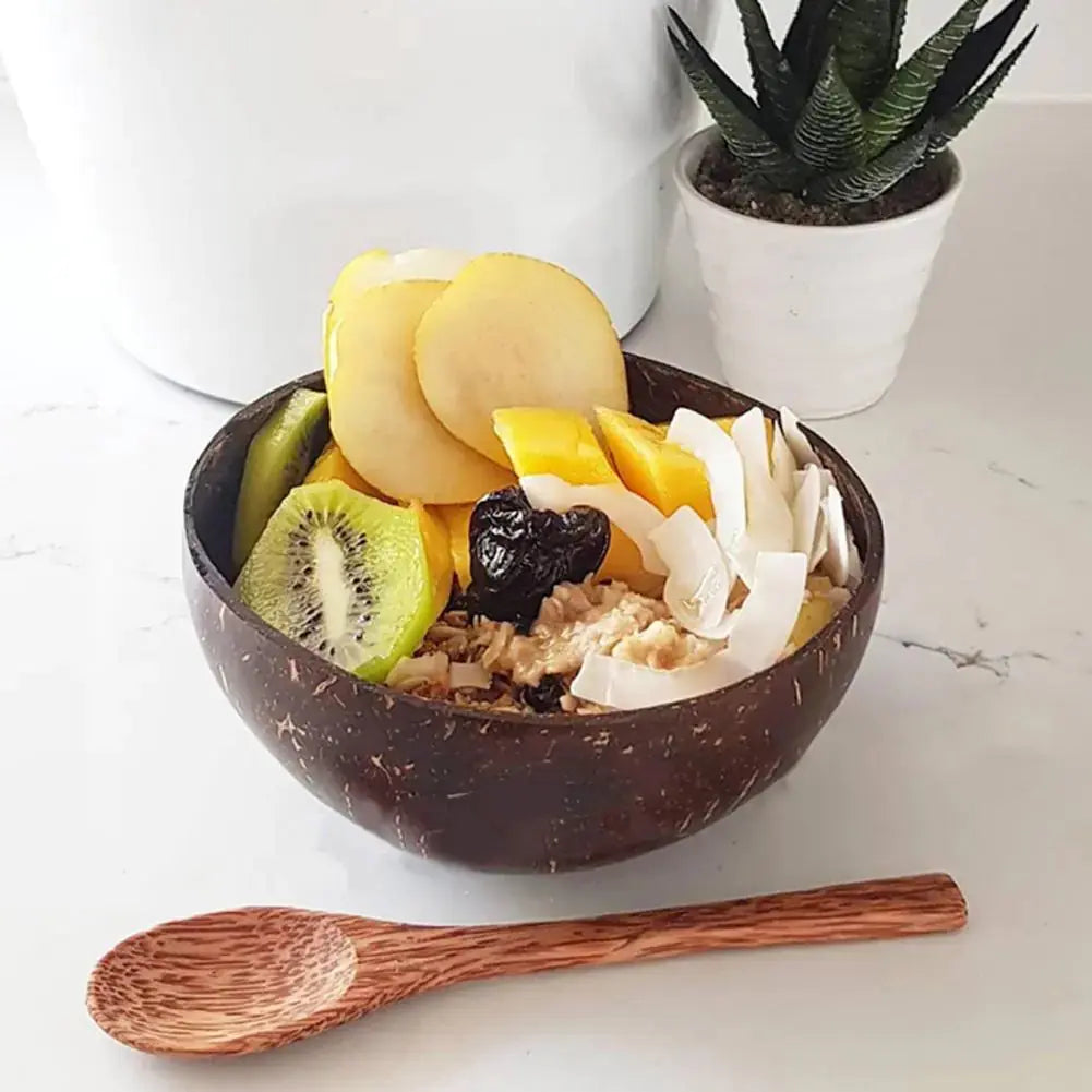 Coconut Shell Food Container Set - PricesRgreat