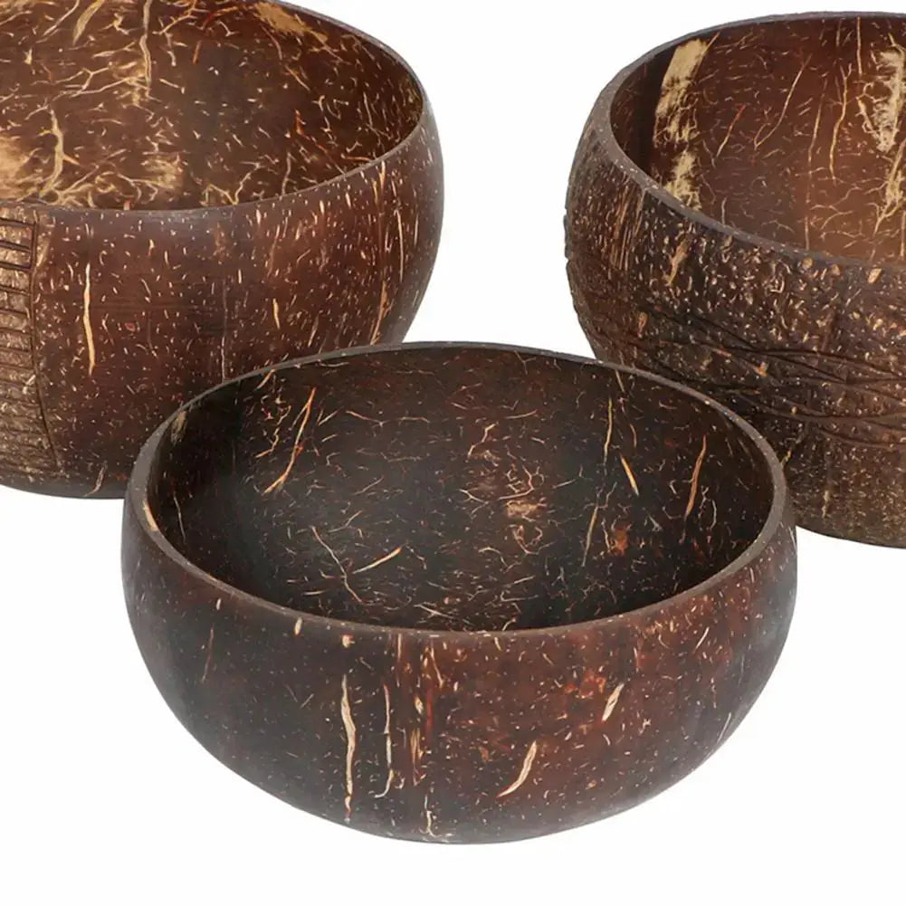 Coconut Shell Food Container Set - PricesRgreat