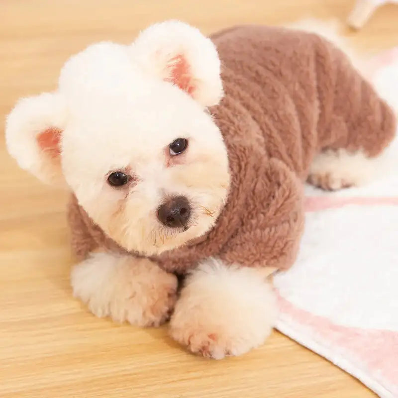 Pajamas for Small Dogs - PricesRgreat