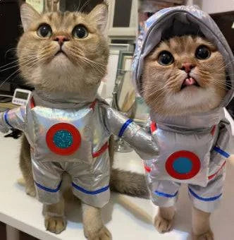 Dog and Cat Space Suit