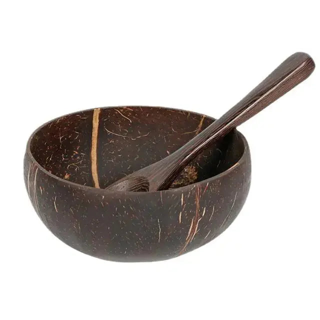 Coconut Shell Food Container Set - PricesRgreat